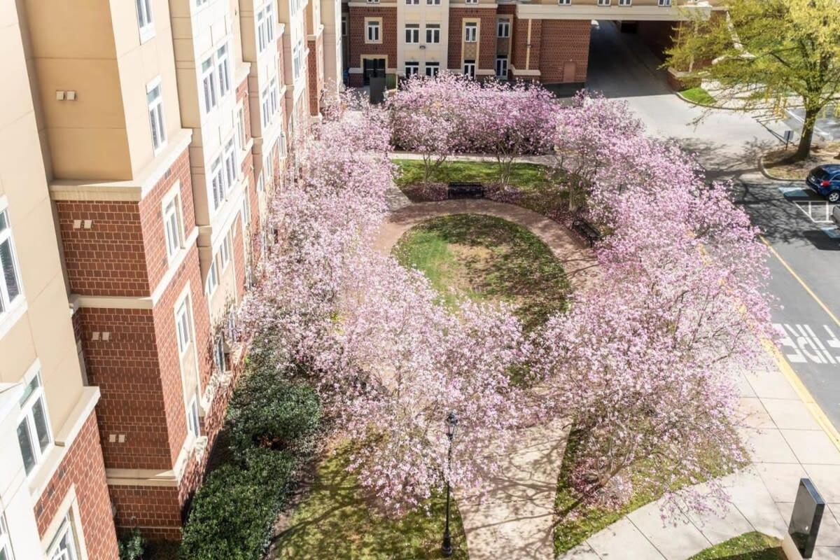 3Br Premium Downtown Apartment With Office & Gym Charlotte Exterior photo